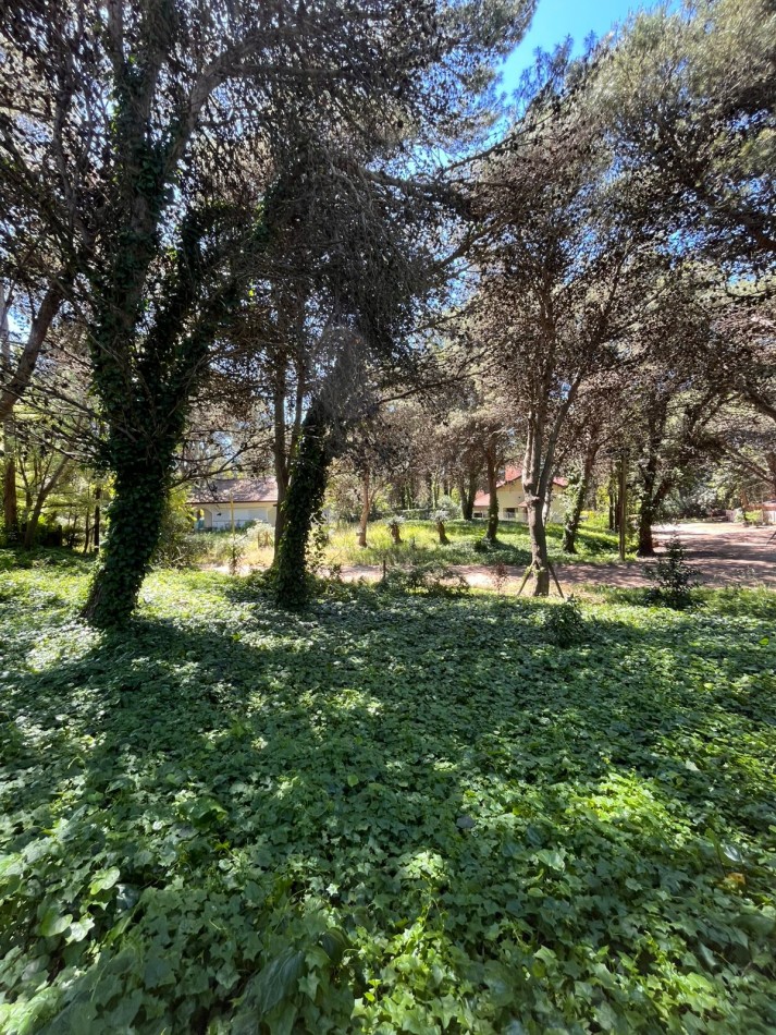 Venta LOTE en Valeria del Mar