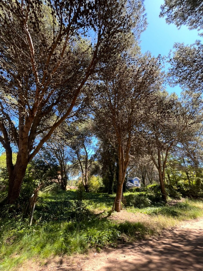 Venta LOTE en Valeria del Mar