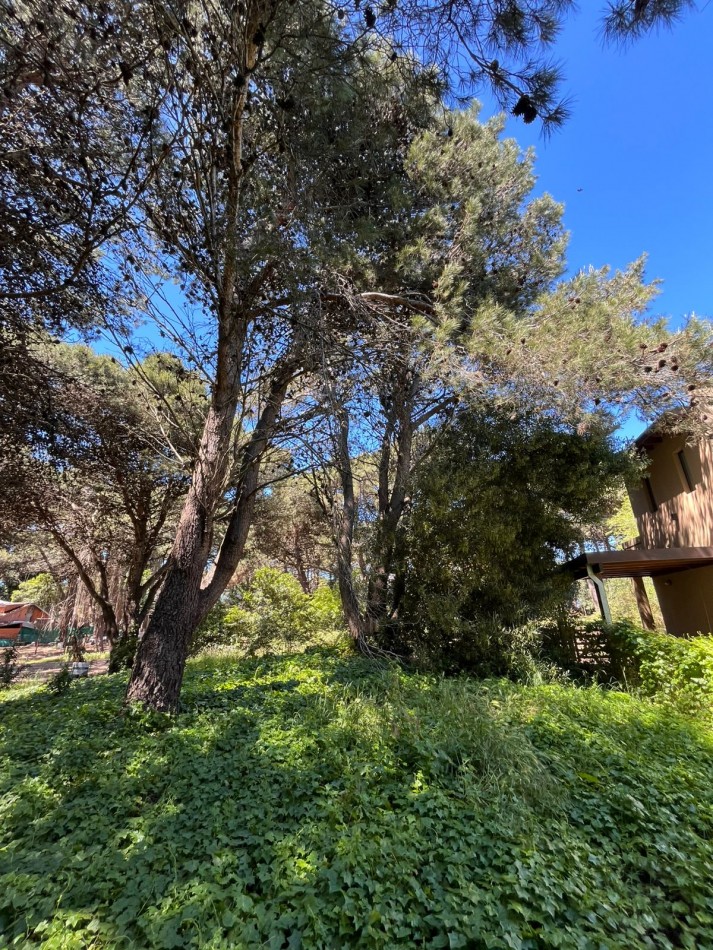 Venta LOTE en Valeria del Mar