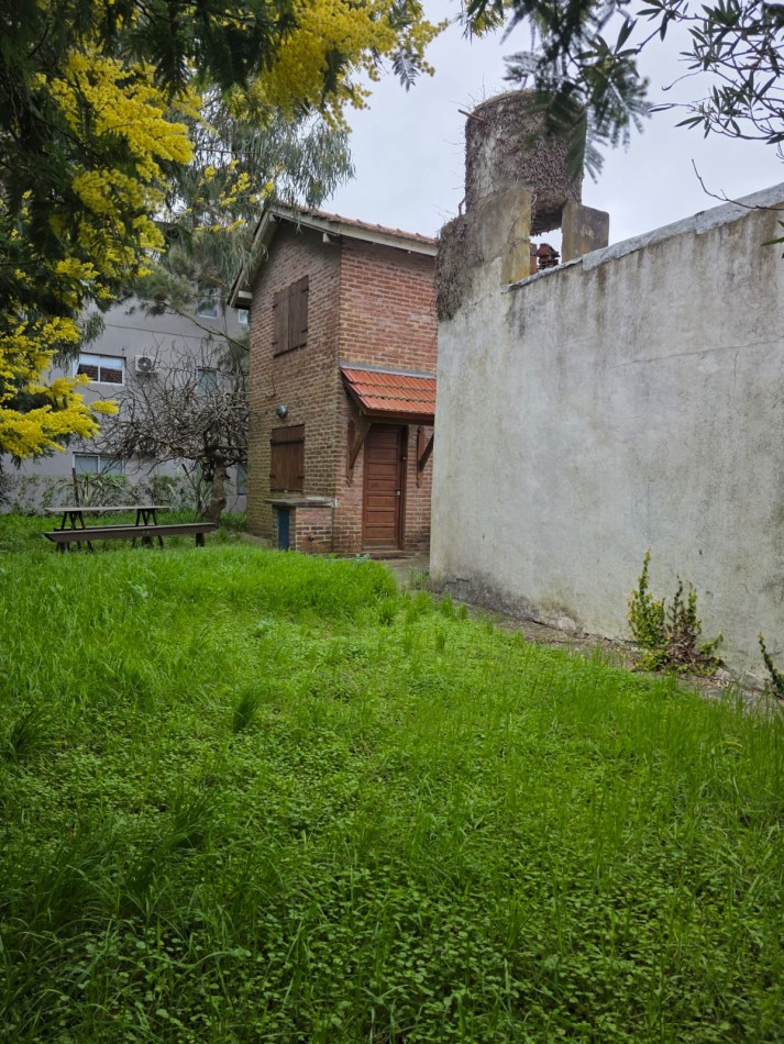 Corbeta Julieta 53
