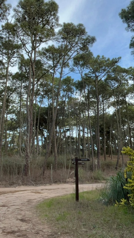 LOTE EN VENTA EN CARILO - BARRIO ZORZAL - 1.283 M²