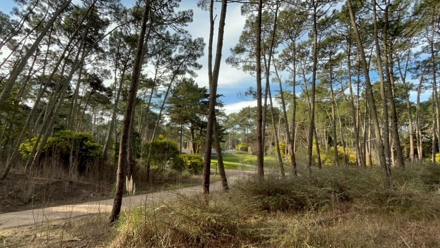 LOTE EN VENTA EN CARILO - BARRIO ZORZAL - 1.283 M²