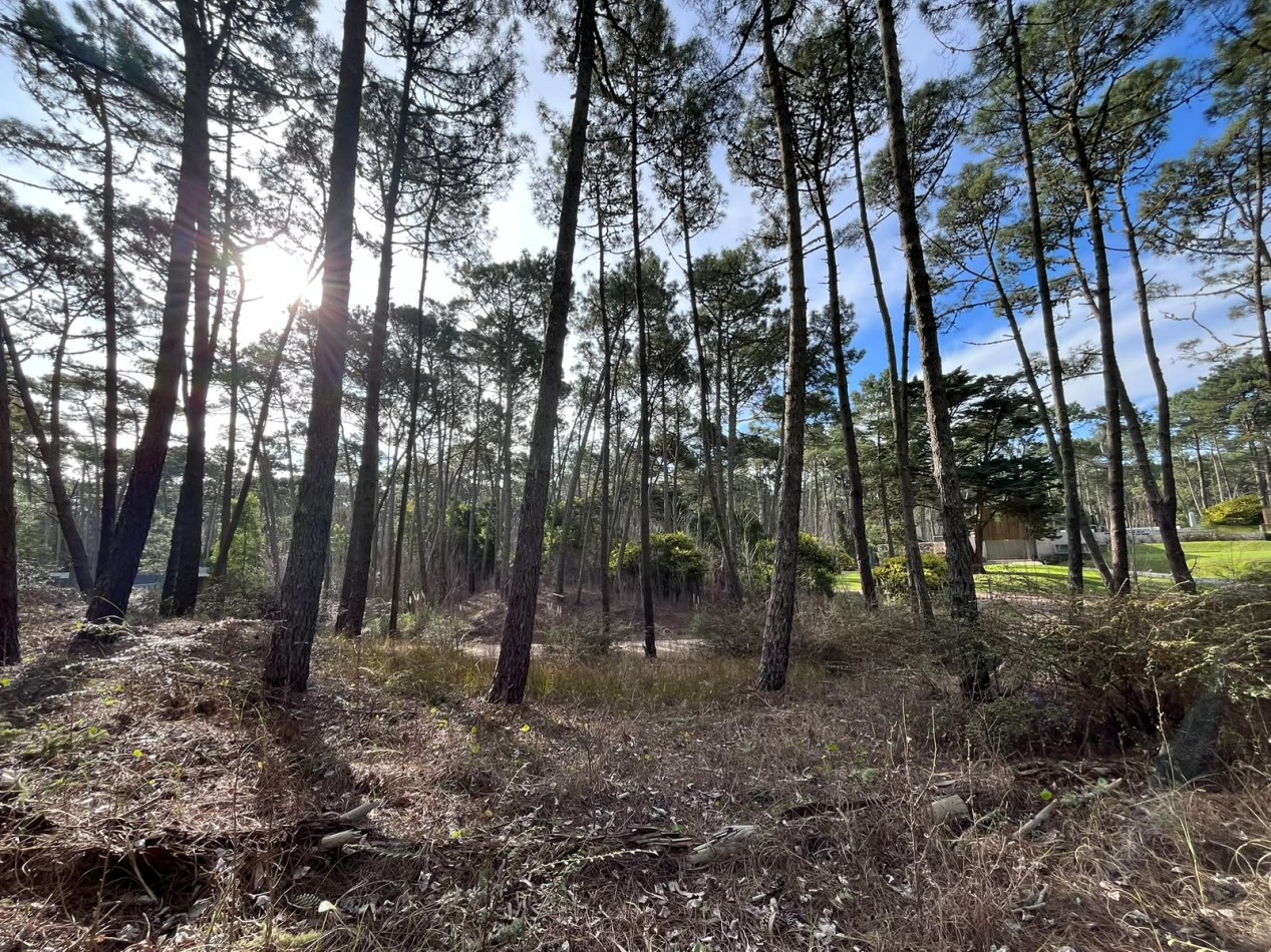 LOTE EN VENTA EN CARILO - BARRIO ZORZAL - 1.283 M²