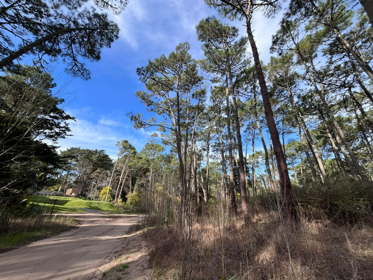 LOTE EN VENTA EN CARILO - BARRIO ZORZAL - 1.283 M²