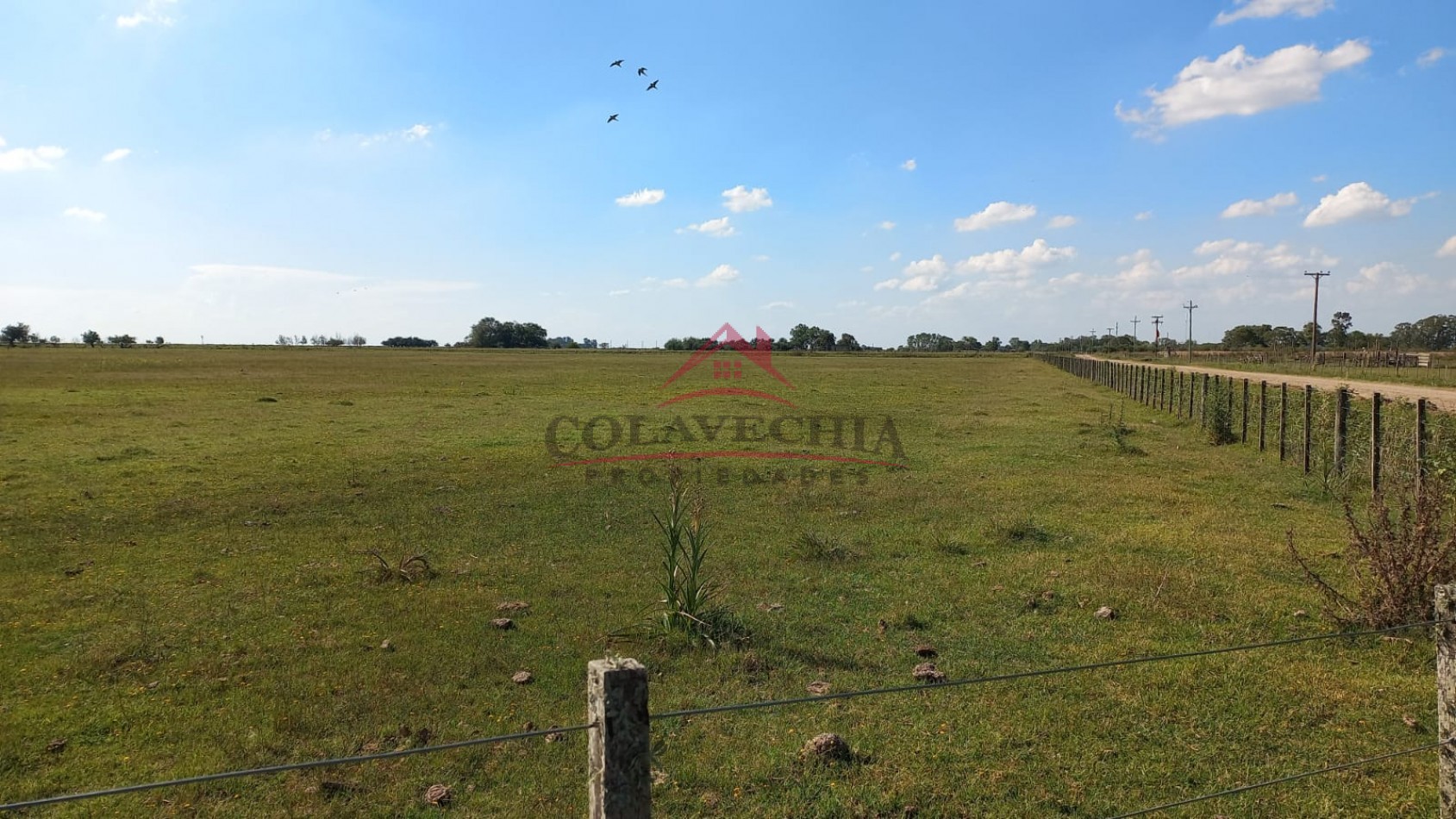 Venta de Campo-Chacra 12,5 Hectareas en Gral.Guido ACEPTA FIANCIACION