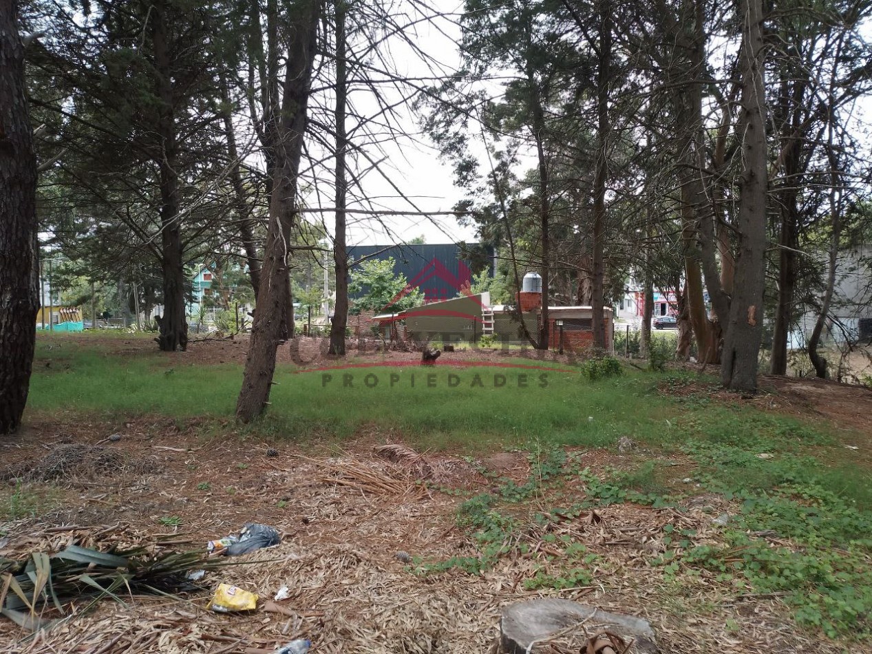 2 Lotes en oportunidad Colon casi esq. Arcachon - 542 m2 y 429 m2.