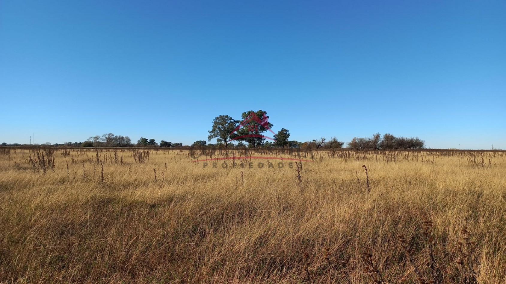 Venta de Campo-Chacra 12,5 Hectareas en Gral.Guido ACEPTA FIANCIACION