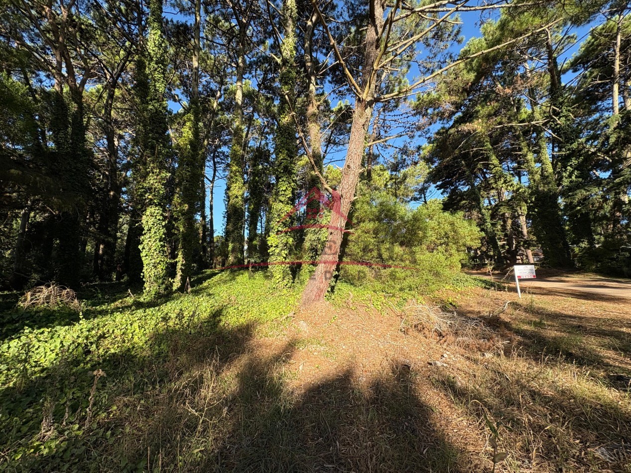 EN VENTA DOS LOTES - EL CANO VALERIA DEL MAR