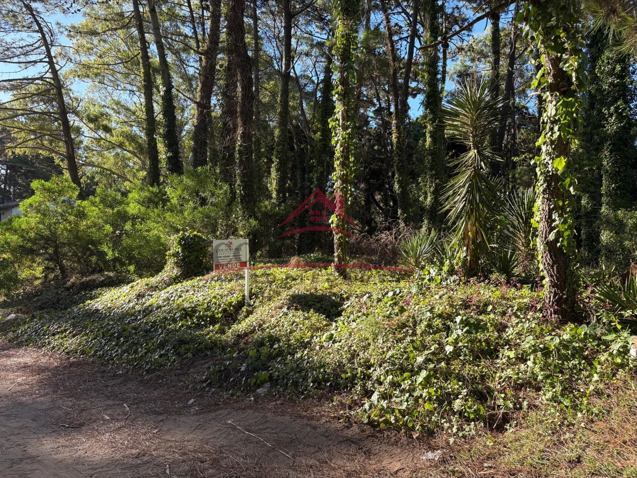 EN VENTA DOS LOTES - EL CANO VALERIA DEL MAR