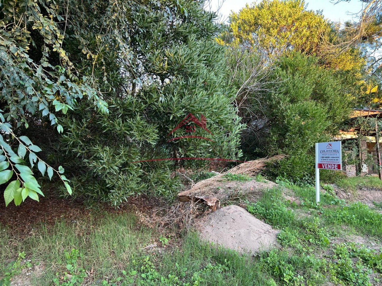 VENTA de LOTE en Villa Gesell