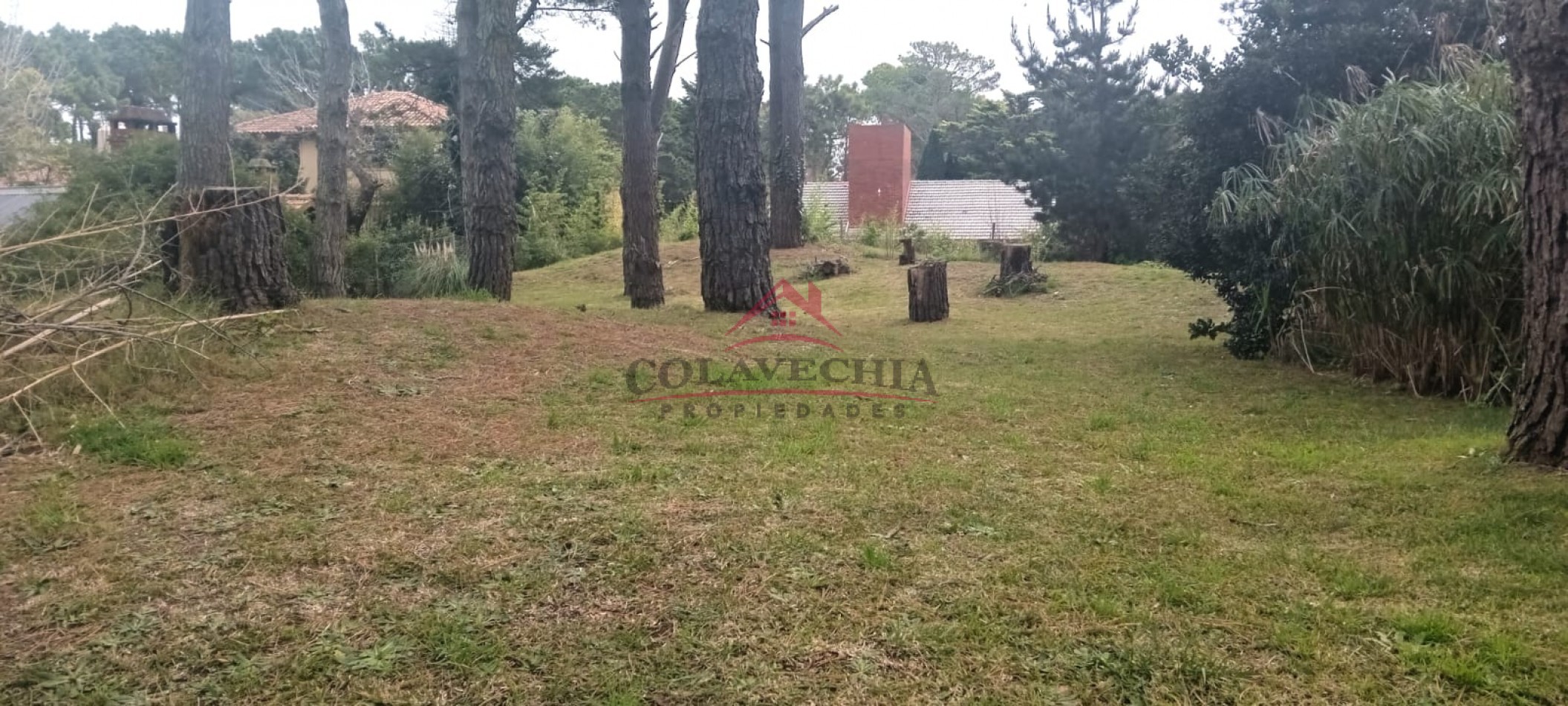 Excelente lote en zona B5