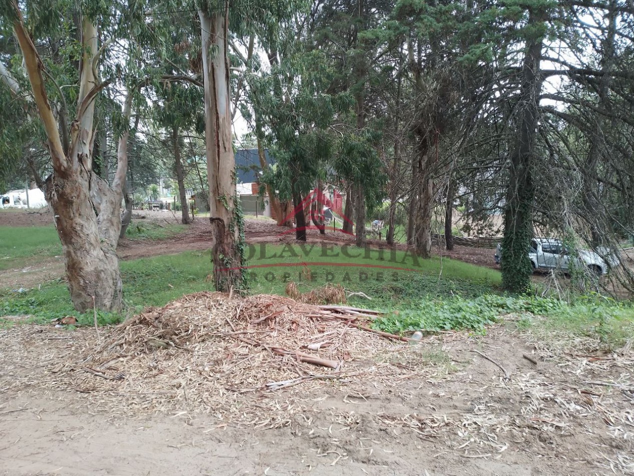 2 Lotes en oportunidad Colon casi esq. Arcachon - 542 m2 y 429 m2.