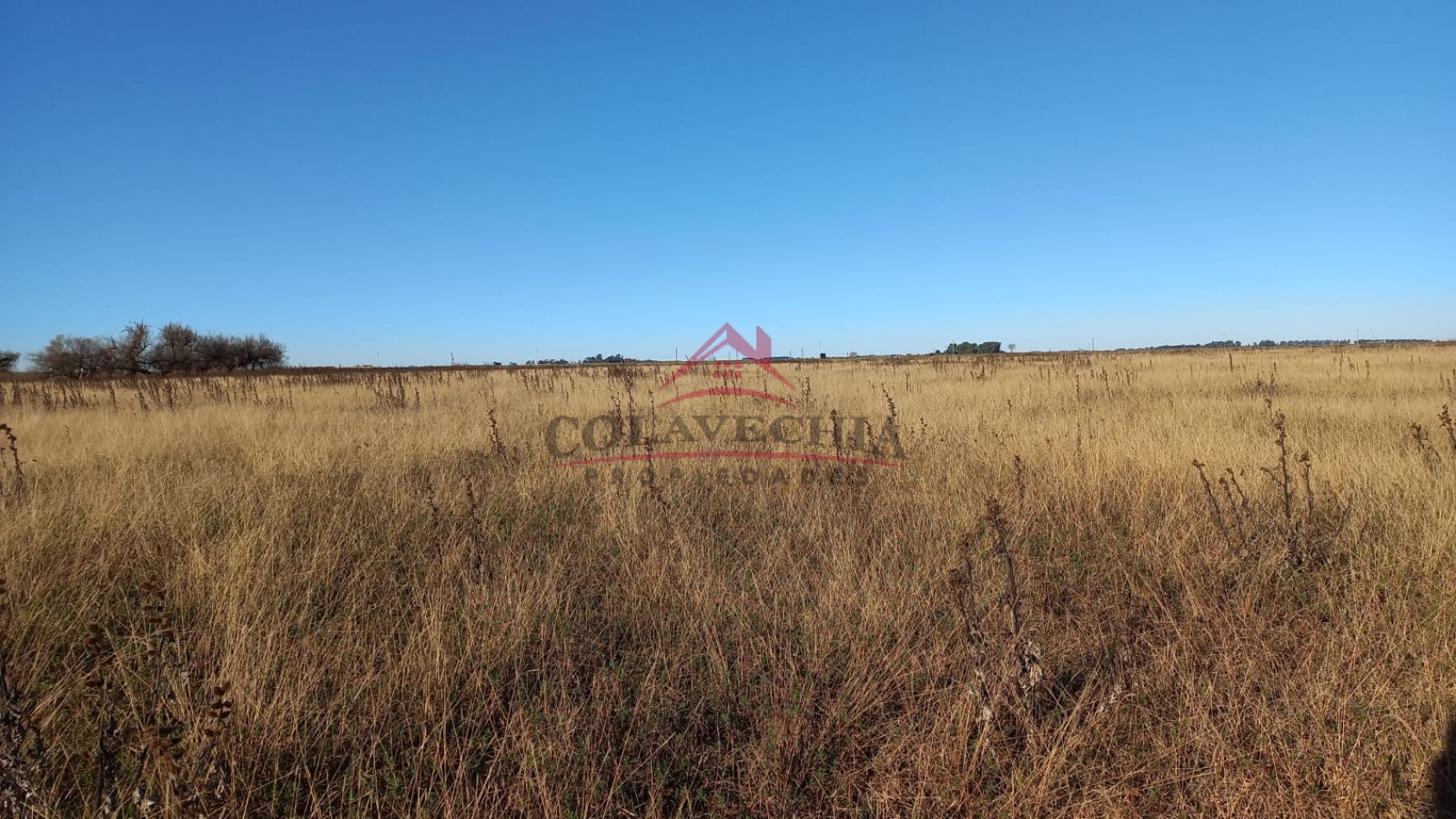 Venta de Campo-Chacra 12,5 Hectareas en Gral.Guido ACEPTA FIANCIACION