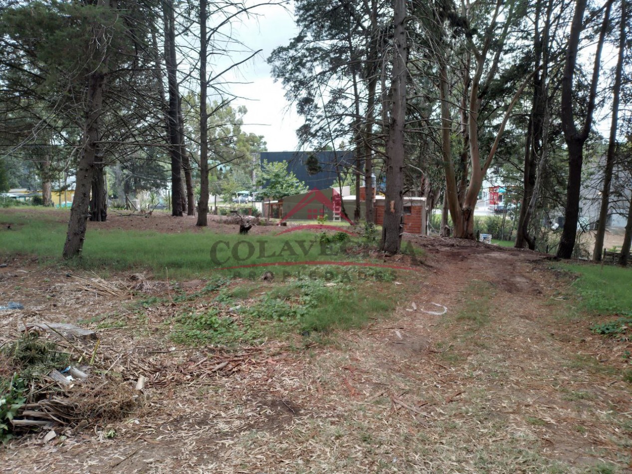 2 Lotes en oportunidad Colon casi esq. Arcachon - 542 m2 y 429 m2.