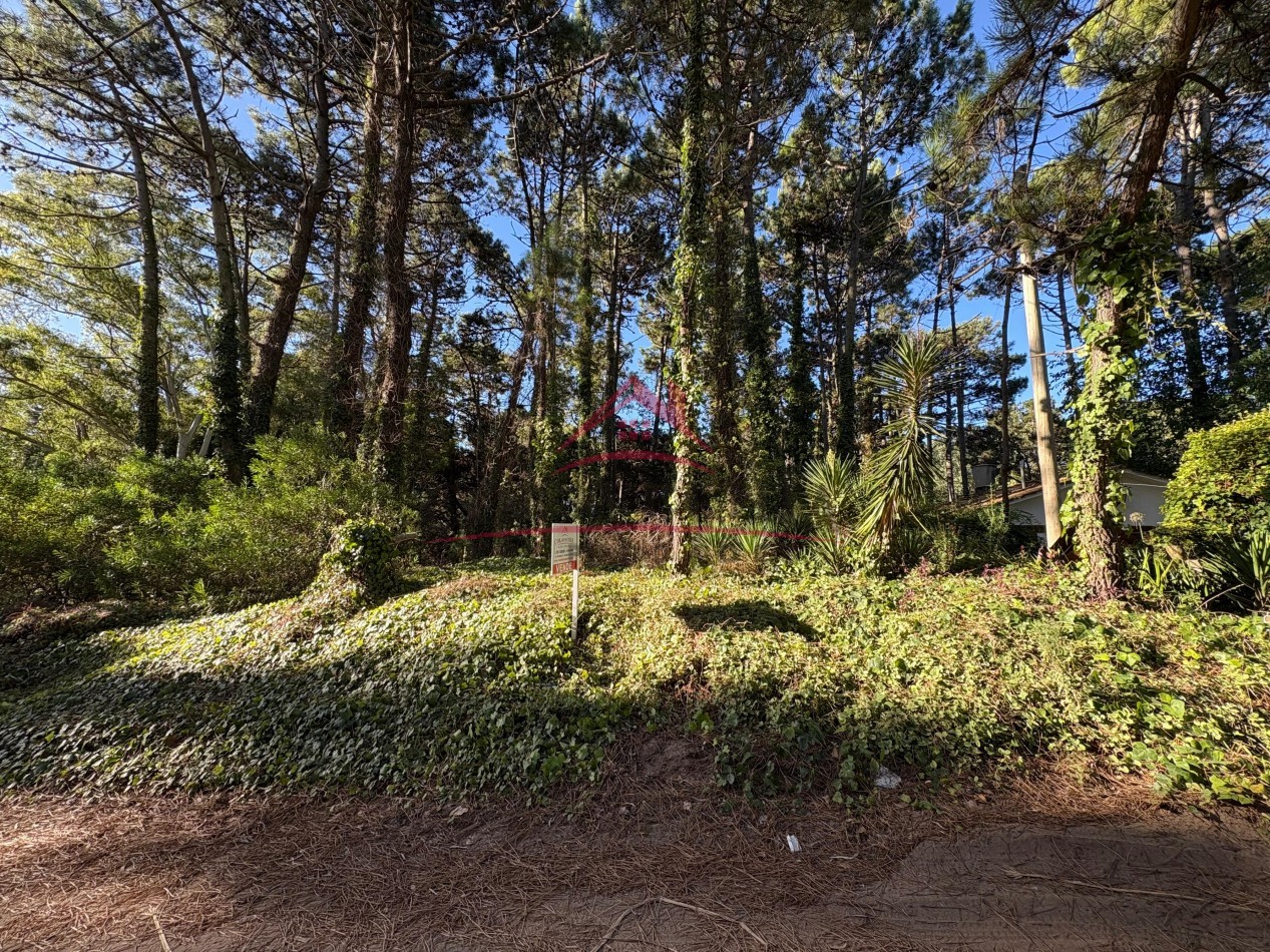EN VENTA DOS LOTES - EL CANO VALERIA DEL MAR