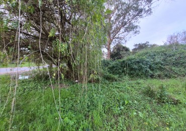 Venta de Lote/Terreno en Valeria del Mar-Pinamar