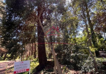 EN VENTA LOTE VALERIA DEL MAR CALLE TUYU