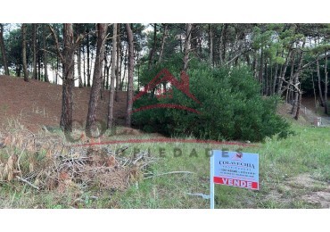 VENTA de lote en Pinamar, ALAMOS